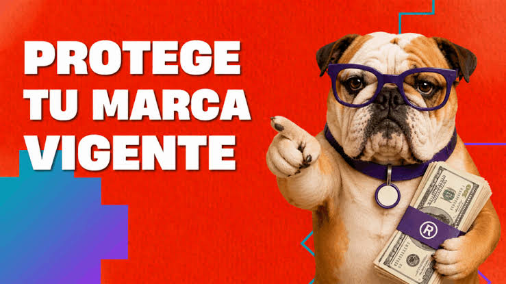 Qué Hacer si un Competidor Copia tu Nombre, Logo o Producto